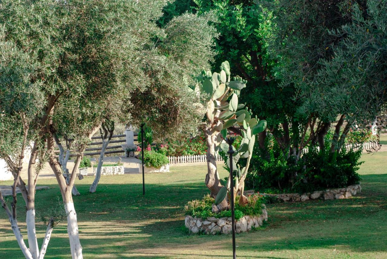فندق Akrapol Boutique كاس المظهر الخارجي الصورة